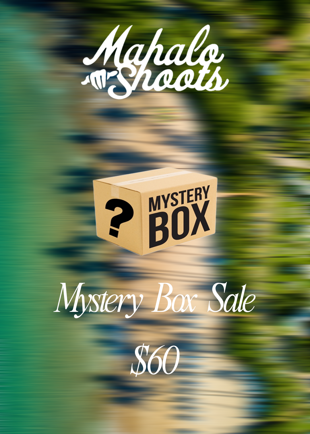 Mystery Boxes (LIMITED)